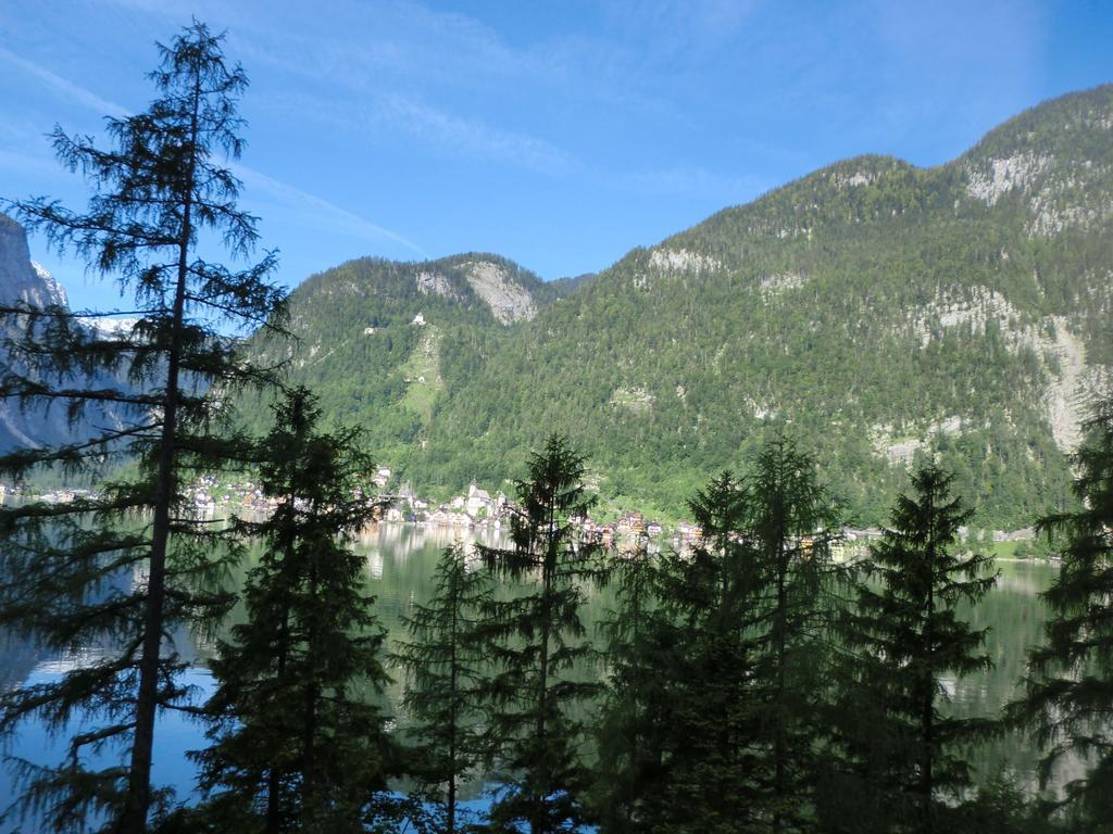 Pension Leprich Bad Goisern Exteriér fotografie