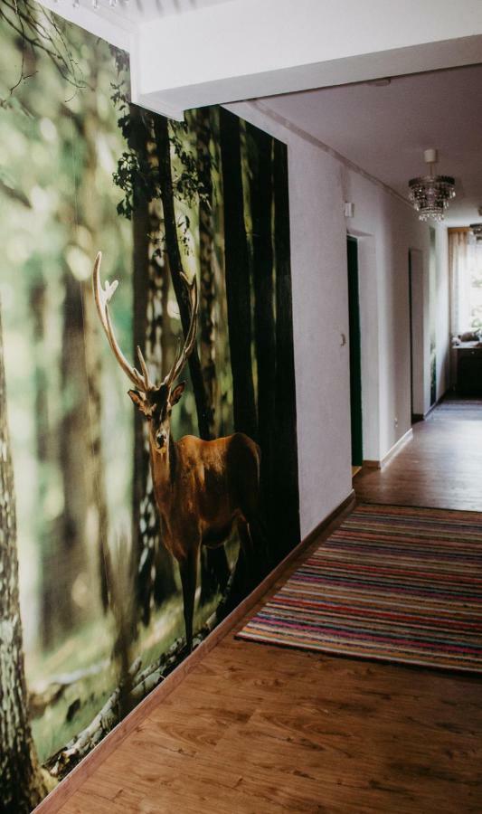 Pension Leprich Bad Goisern Exteriér fotografie